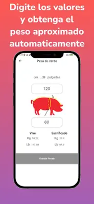 Animal Weight- Pigs and cattle android App screenshot 3